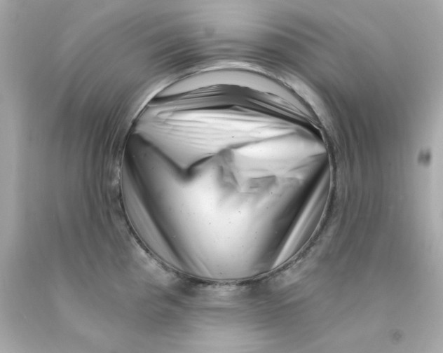 X0000093121193200710241256