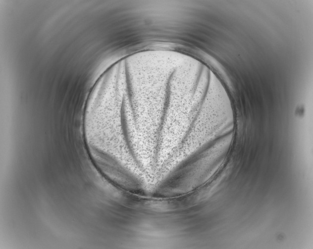 X0000093121194200710241256