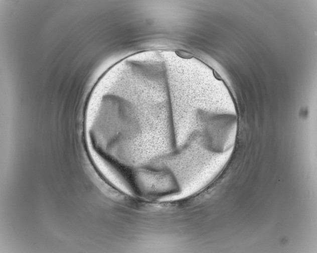 X0000093121195200710241256