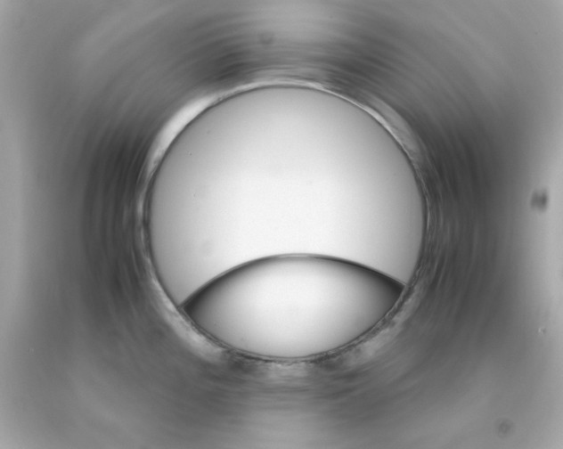 X0000093121196200710241256