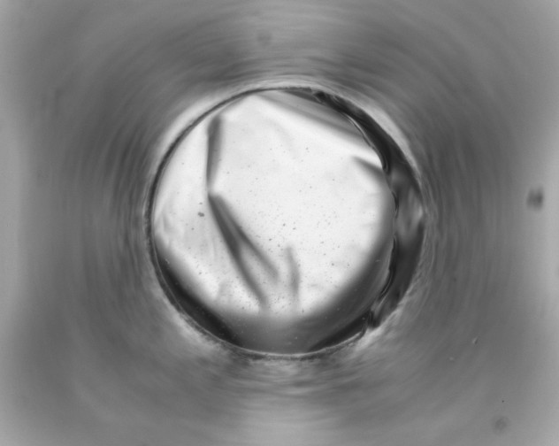 X0000093121197200710241256