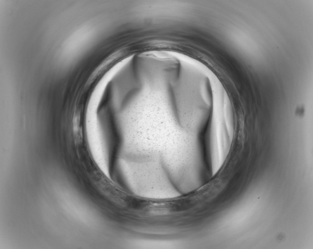 X0000093121198200710241256