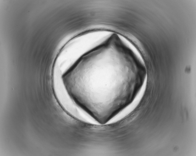 X0000093121199200710241256