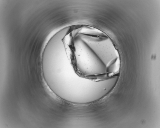 X0000093121200200710241256