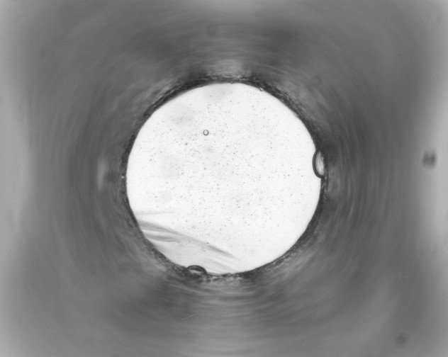 X0000093121201200710241255