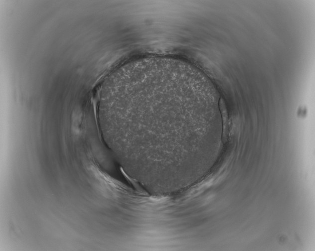 X0000093121202200710241255