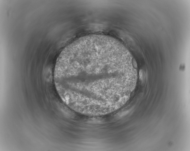 X0000093121203200710241255