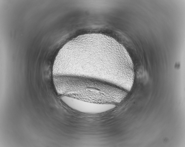 X0000093121204200710241255