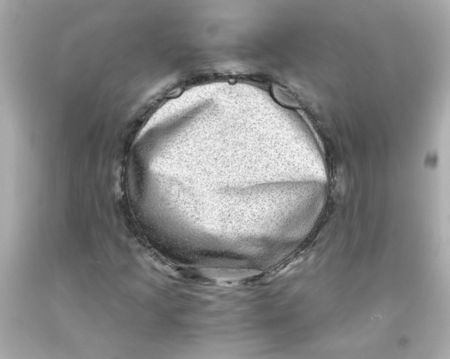 X0000093121205200710241255