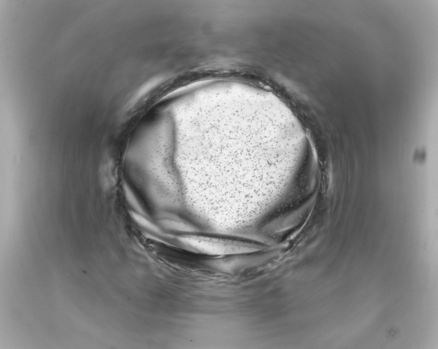 X0000093121206200710241255