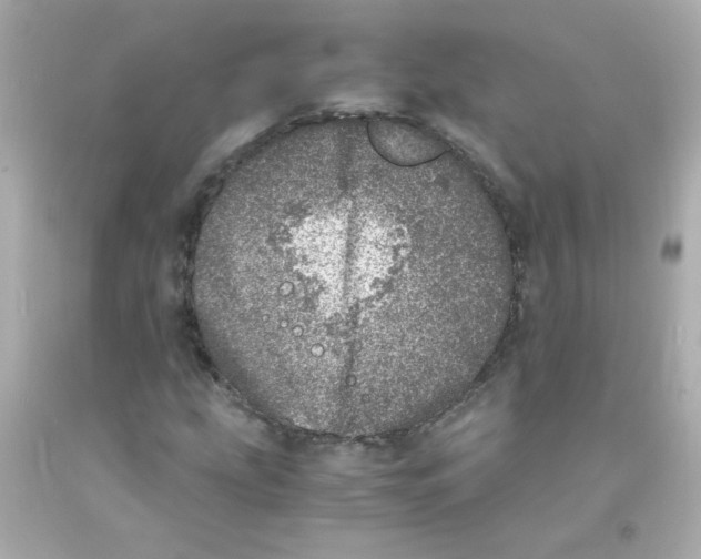 X0000093121207200710241255