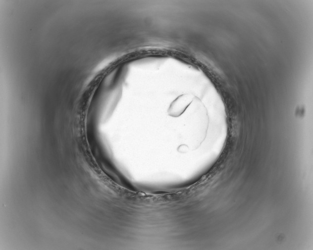 X0000093121208200710241255