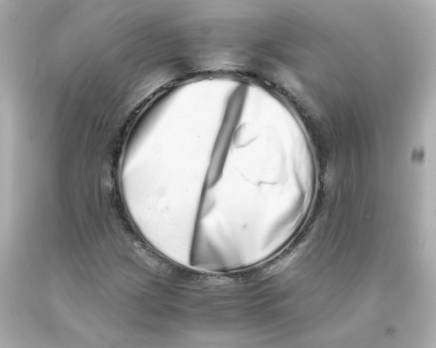 X0000093121209200710241255