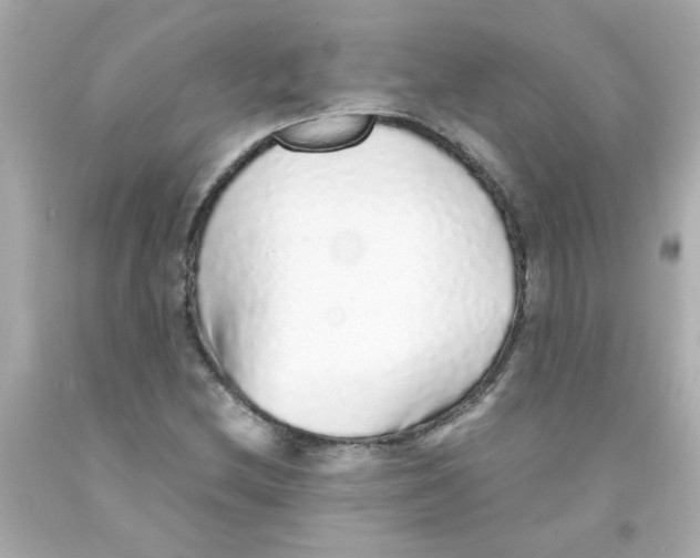 X0000093121212200710241255