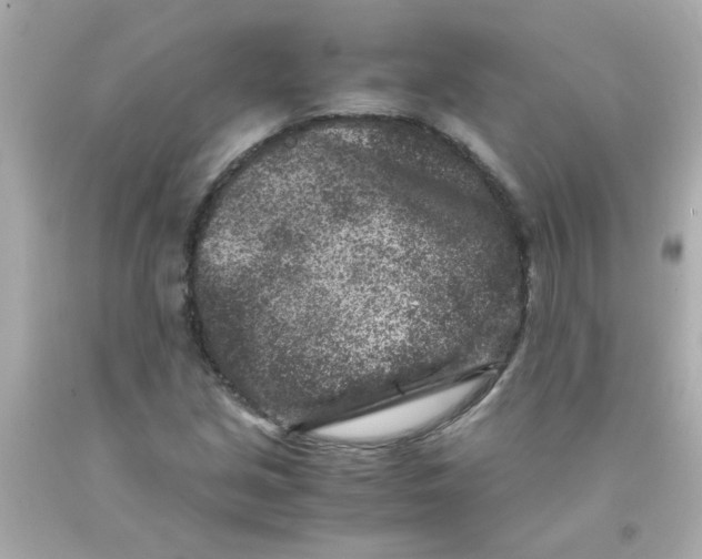 X0000093121213200710241255