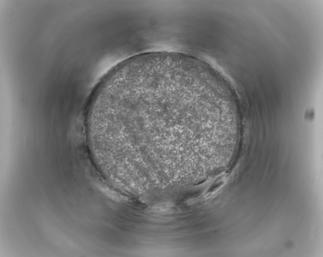 X0000093121215200710241255