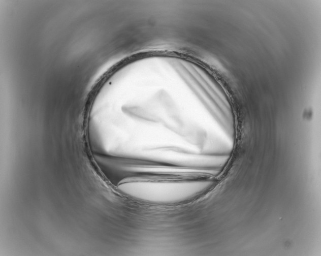 X0000093121216200710241256