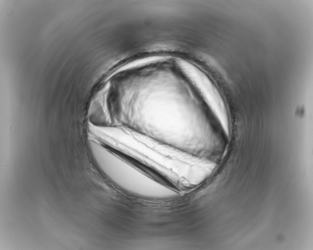 X0000093121217200710241256