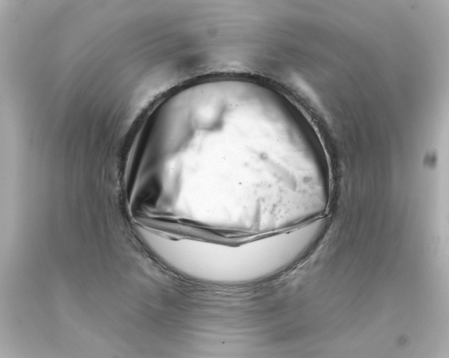 X0000093121218200710241256