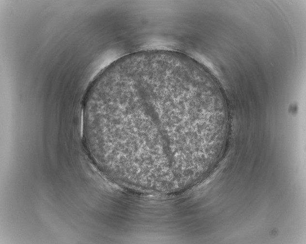 X0000093121219200710241256