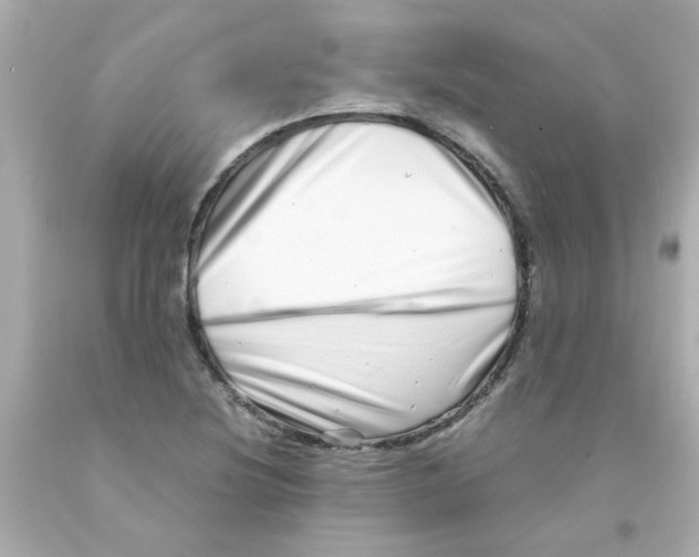 X0000093121220200710241256