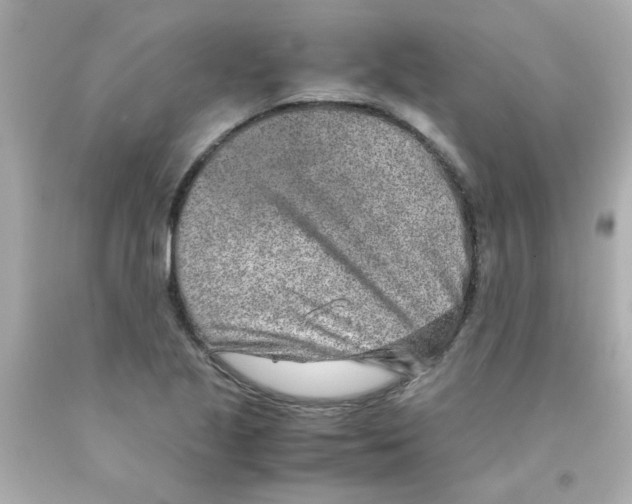 X0000093121221200710241256