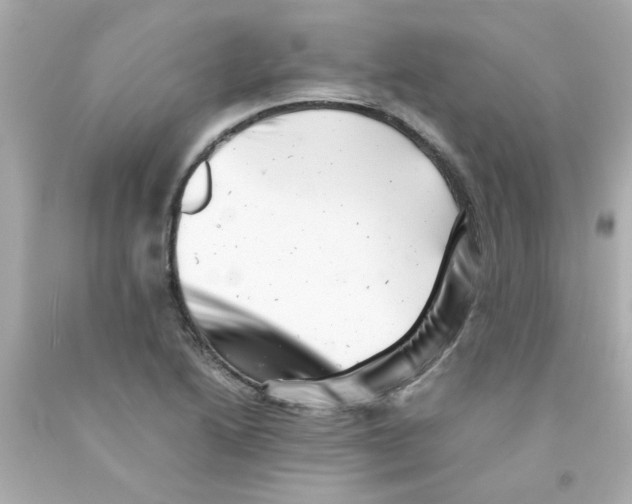 X0000093121222200710241256