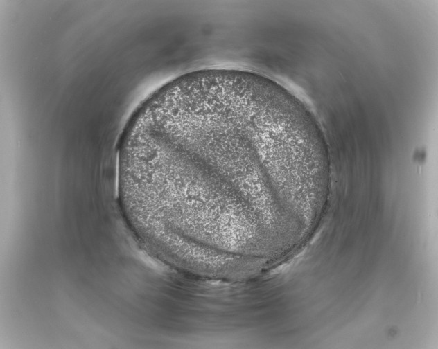 X0000093121223200710241256