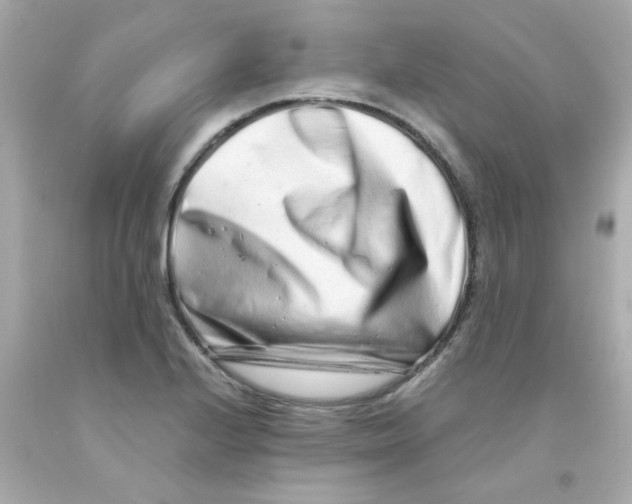 X0000093121224200710241256