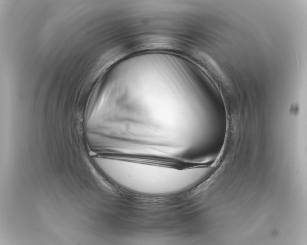 X0000093121225200710241256