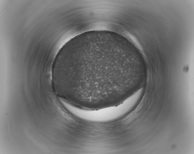 X0000093121226200710241256