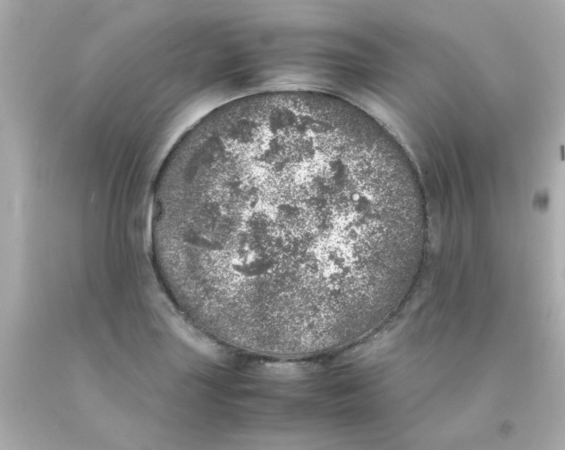 X0000093121227200710241256