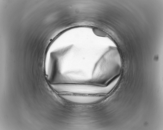 X0000093121228200710241256