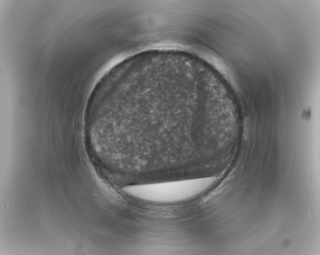 X0000093121229200710241256