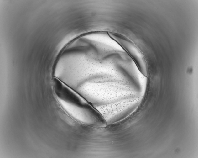 X0000093121230200710241256