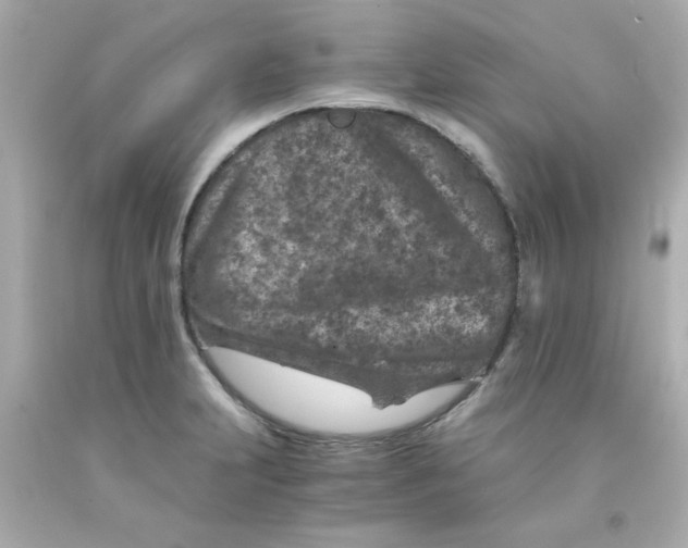 X0000093121231200710241256