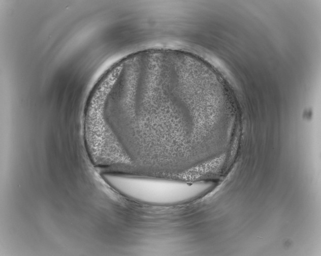 X0000093121232200710241256