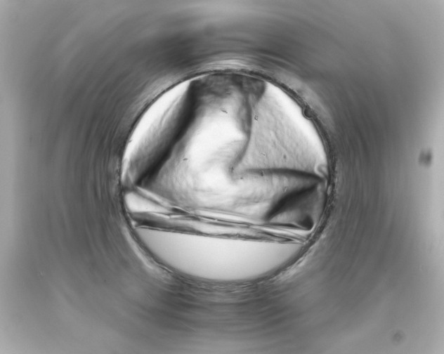 X0000093121233200710241256