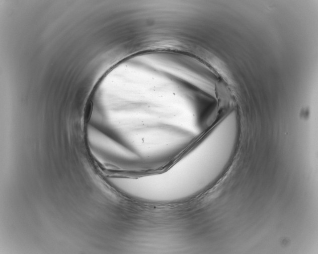 X0000093121234200710241256