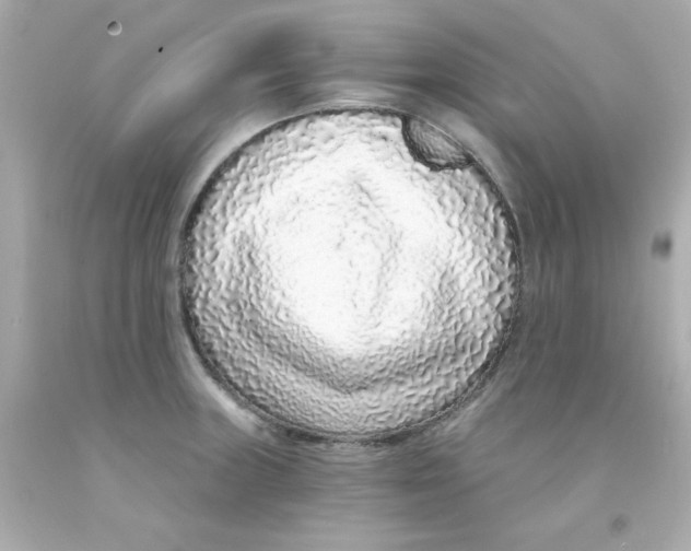 X0000093121235200710241256