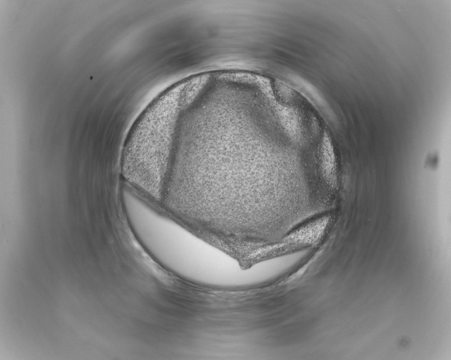 X0000093121236200710241256