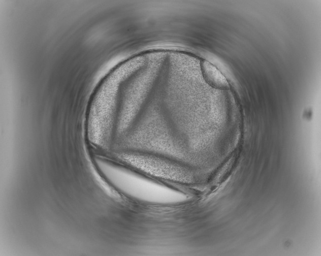 X0000093121237200710241256