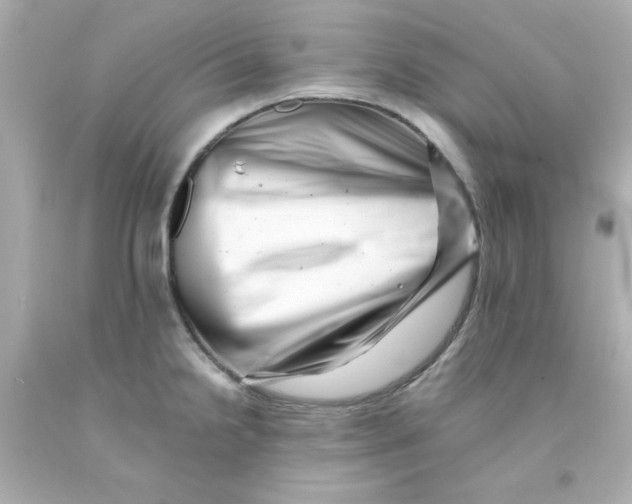 X0000093121238200710241256