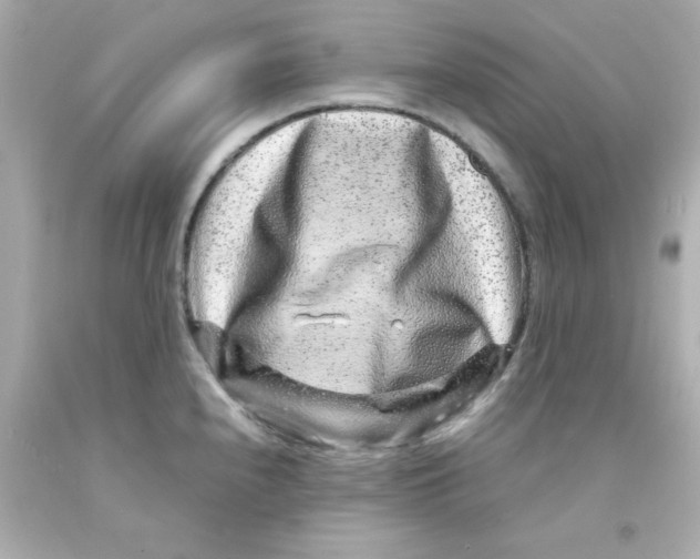 X0000093121240200710241256