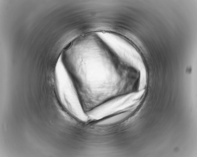 X0000093121241200710241256