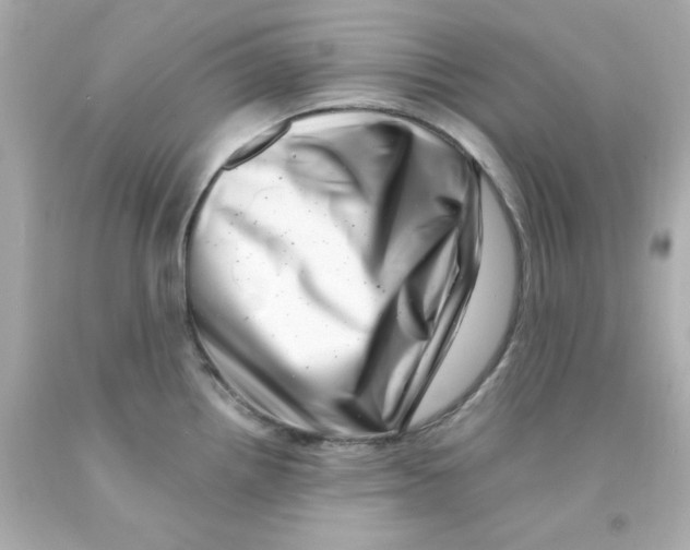 X0000093121242200710241256