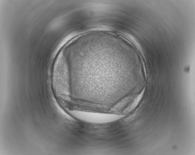 X0000093121243200710241256