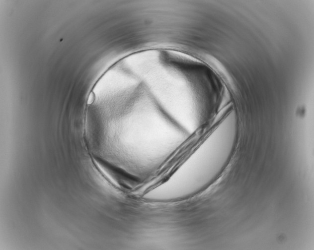 X0000093121244200710241256