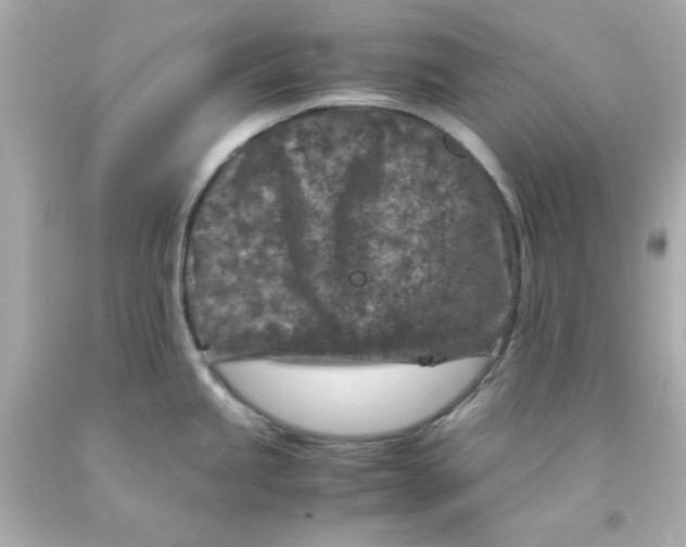 X0000093121245200710241256