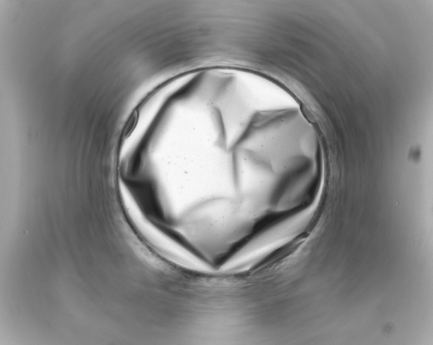 X0000093121246200710241256